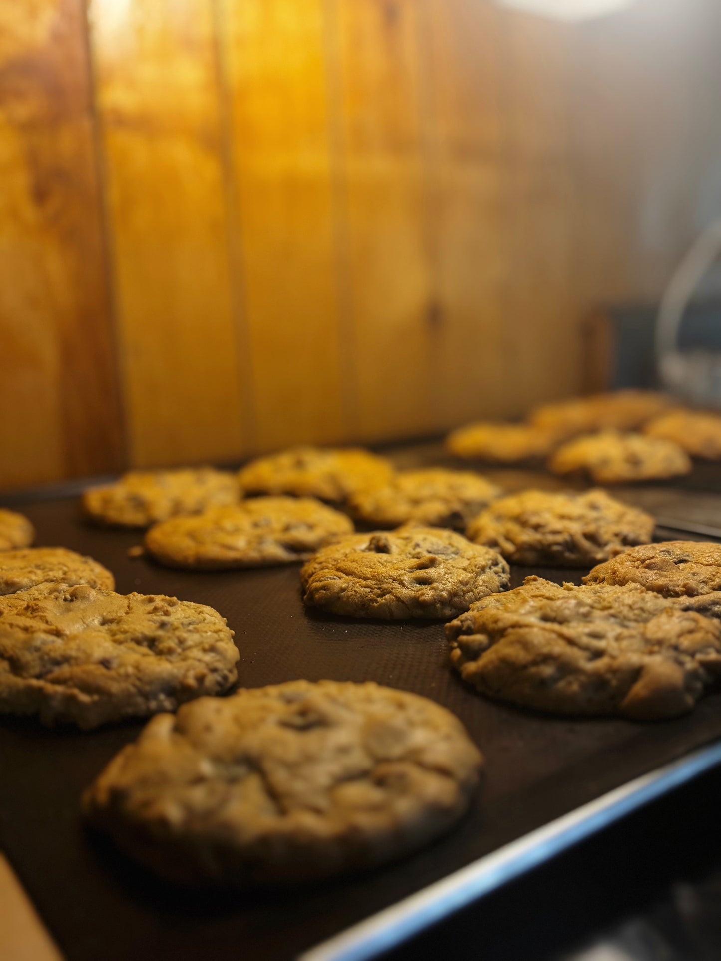 Chocolate chip cookies